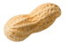 peanut 2